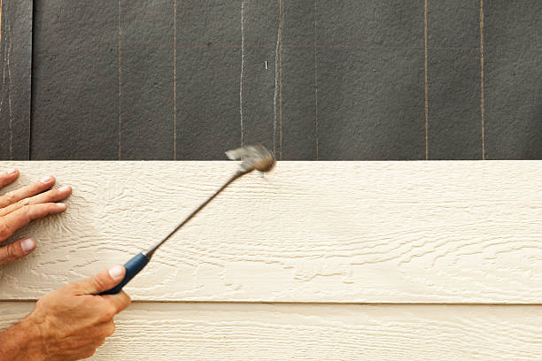 Best Custom Trim and Detailing for Siding  in Bountiful, UT